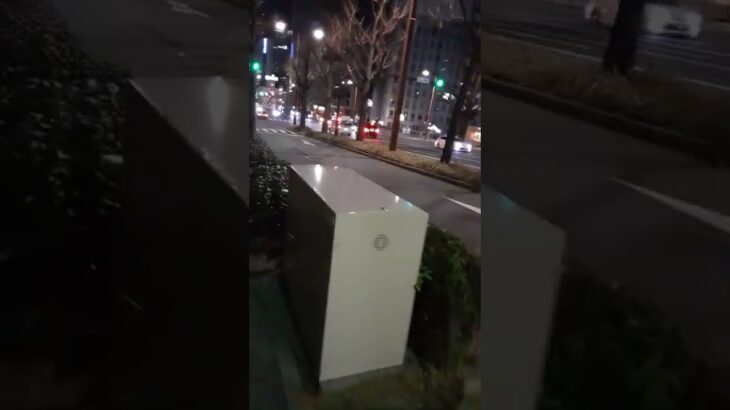 夜の桜 通りを緊急走行する救急車