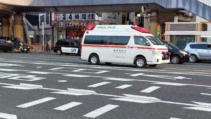 上野1 救急 駅構内での急病人#消防車  #緊急走行  #上野