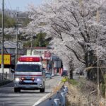 桜の下を緊急走行する三田市消防本部救急車三田92