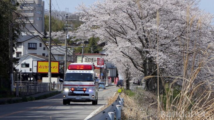 桜の下を緊急走行する三田市消防本部救急車三田92