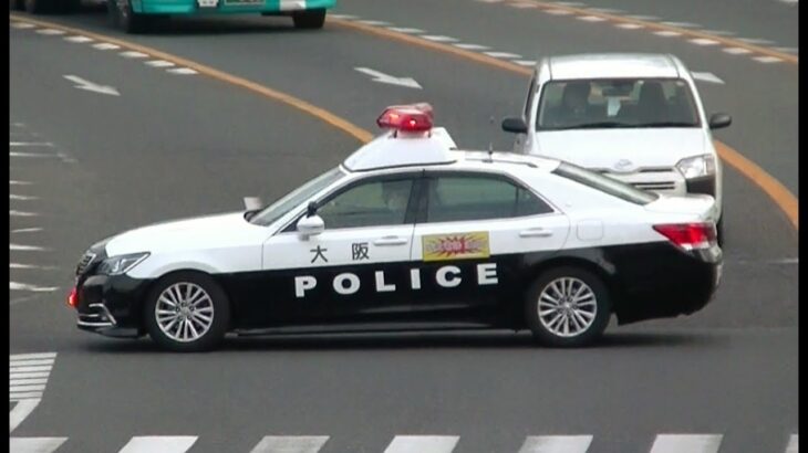 パトカー緊急走行【94】大阪府警・堺警察署　信号無視取締り【Japanese Police car】