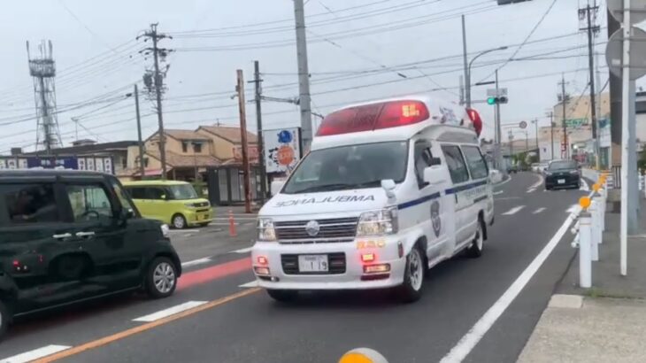 マイクパフォーマンスあり！西春日井広域消防本部の救急隊が緊急走行！#緊急走行 #救急車