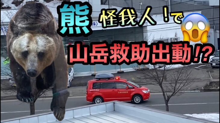 【緊急走行】消防車のサイレンが凄い！またヒグマ出没…😰(関係無いけどw神戸王子動物園のヒグマ🐻)