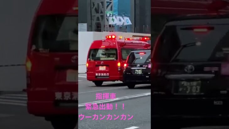 消防車　ポンプ車　現場から現場に！！#緊急走行 ＃指揮車　ウーカンカンカン　#サイレン　#新宿　#新宿YD #緊急出動 #火災