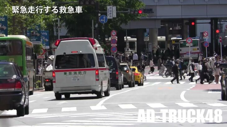 渋谷スクランブル交差点を渡る歩行者の間を緊急走行する救急車！