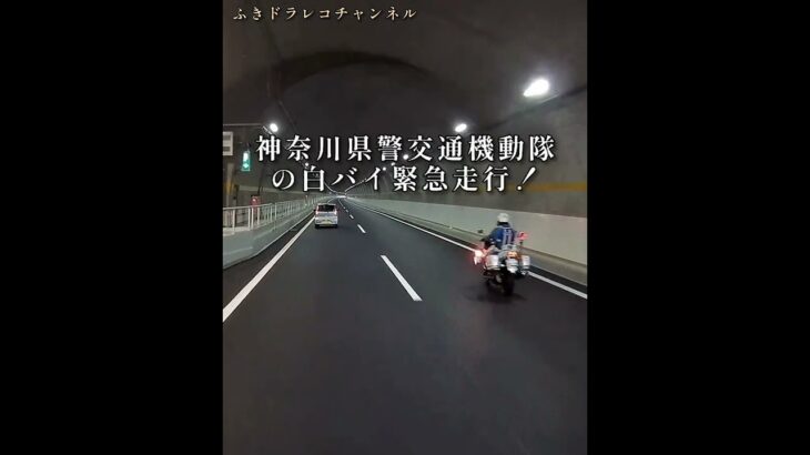 神奈川県警交通機動隊白バイ緊急走行‼️