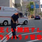 【横浜消防】 南消防署からの出動の瞬間！迫力あるエルグラパラメの緊急走行シーン🚑 急坂では少し重そうです！