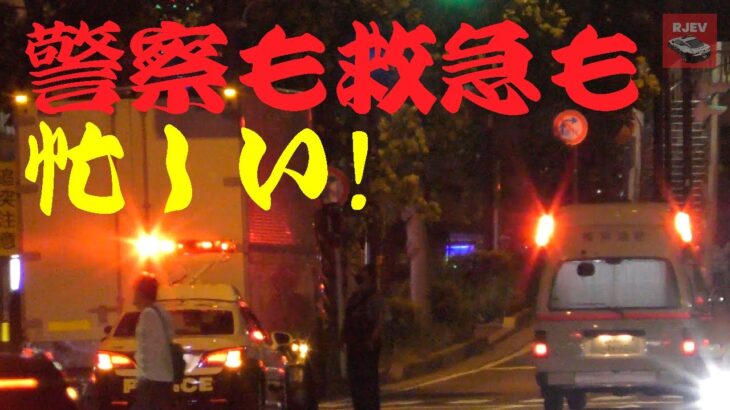 夜も忙しく活動する横浜消防の救急車🚑 / 神奈川県警察 信号無視取り締まり / 大掛かりな警察 検問🚨 怪しくは見えない可愛らしい軽に何が！？