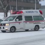【緊急走行】合成音あり❗️ 雪の中、浪岡救急2  青森地域広域事務組合消防本部