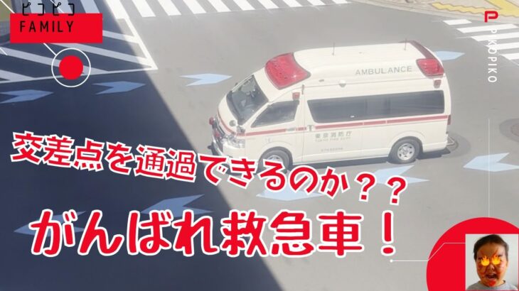緊急走行！交差点で救急車が通れない？？🚑【東京消防庁】🚑Ambulance