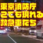 昼も夜も活動する東京消防庁の救急車たち！緊急走行をしている救急車が近づいてきたら道を譲ってください🚑