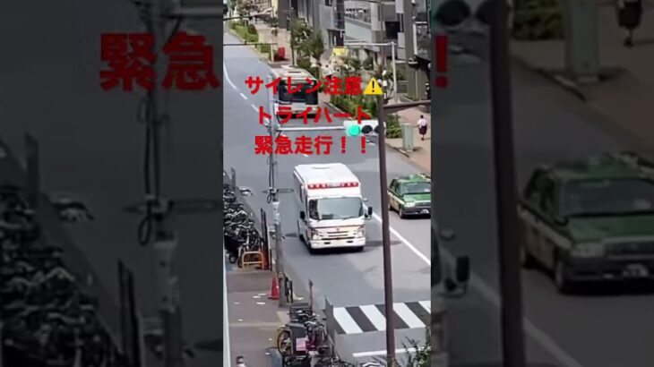 救急車　緊急走行！！緊急出動！！サイレン注意！！精鋭部隊　#東京消防庁 #救急車#はたらくくるま