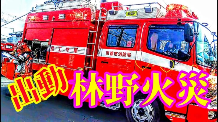 【緊急走行】林野火災へ大型救助工作車も出動
