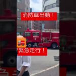 消防車緊急走行！池袋管内🚒東京消防庁🚒Fire track🚨emergency！