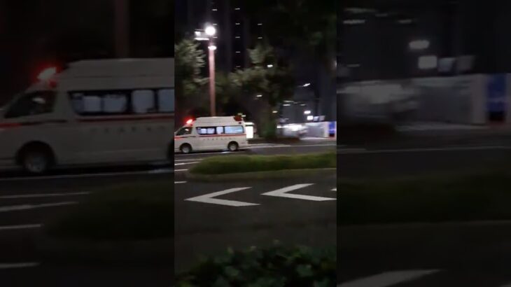 夜の桜通を緊急走行する富士塚出張所の救急車
