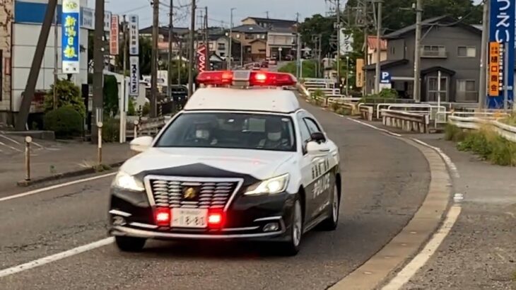 新潟県警察　加茂1  緊急走行