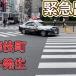 警察　パトロール　緊急出動　歌舞伎町　事件発生　204  #新宿 #緊急走行 #緊急出動　#警ら隊#パトカー　アルタ前