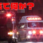 横浜消防 特別救助隊 YRも出動！立ち往生した車高低過ぎのクラウンのもとに集まる警察と消防隊