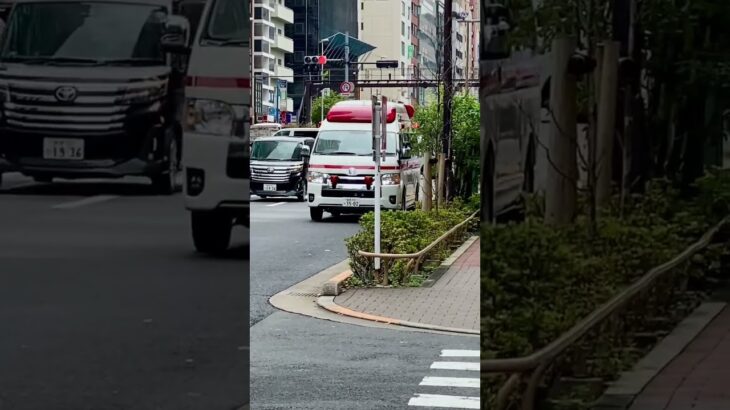 救急車　傷病者に向かう途中　制服の早着替え　サイレン鳴ってると思ったら途中で止まって　水色の服→感染防護衣に途中で着替える事、あるんですね、、#救急車#緊急走行 #東京消防庁 #青梅街道