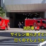 消防車　サイレン、、鳴らさずどこに行くのでしょうか？#東京消防庁 #新宿 #消防署 西新宿　都庁