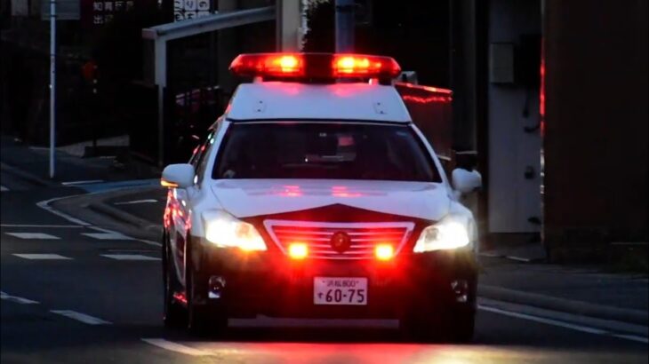 【緊急走行】 静岡県警察 磐田警察署 パトカー (磐田1)