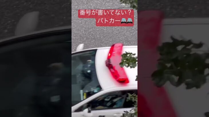 警察　パトカー　パトロール　番号がついてないパトカー？#新宿 #警察 #警察24時 #緊急走行 #パトカー