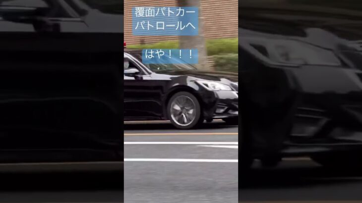 覆面　覆面パトカー　ユータンして再びパトロールへ　はやい！！かっこいい🚓#緊急走行 #新宿 #パトロール#警察 #警察24時 #交通機動隊 #かっこいい