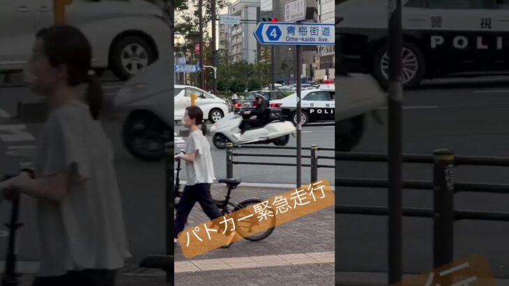 パトカー　警察　緊急走行！！交差点を緊急走行するパトカー#新宿 #緊急走行 #パトカー #警察24時