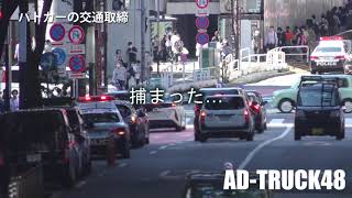 あれ？パトカーの4台前で違反するキューブ！サイレン鳴らし緊急走行で追う渋谷署パトカー