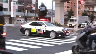 パトカーの目の前で信号無視、即検挙！　Japanese Police vehicle