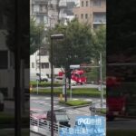 救急車　消防車　PA連携　大雨の中をポンプ車が、その後すぐに救急車が緊急走行！！#緊急走行 #東京消防庁 #消防車🚒#ポンプ車