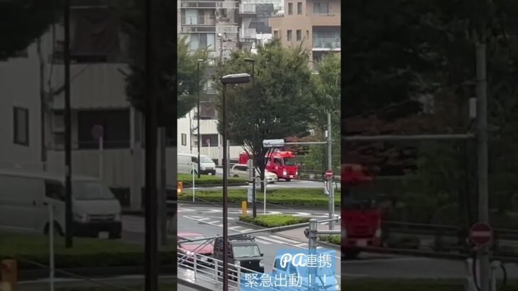 救急車　消防車　PA連携　大雨の中をポンプ車が、その後すぐに救急車が緊急走行！！#緊急走行 #東京消防庁 #消防車🚒#ポンプ車