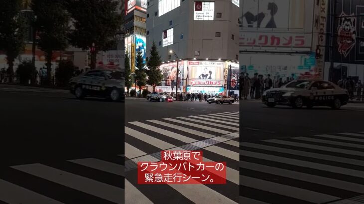 【#パトカー 】秋葉原でクラウンパトカーが緊急走行していくのを見かけました。#shorts
