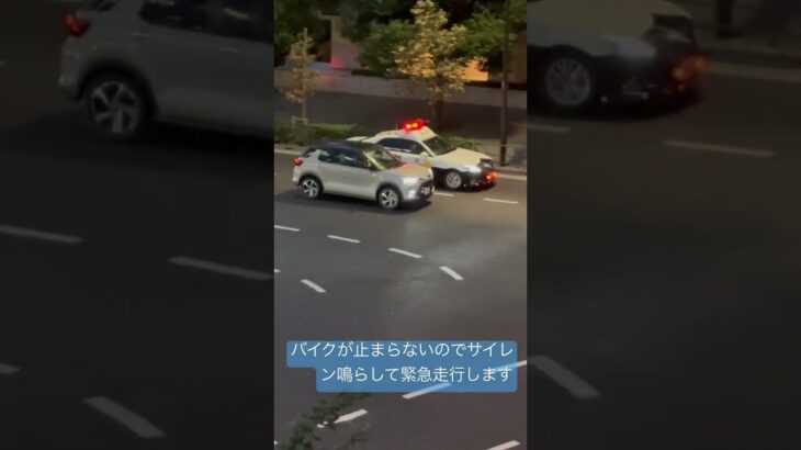 警察　警ら隊　バイクが止まらないので急にサイレン鳴らして緊急走行！！#警察 #新宿 #パトカー信号変わってないですよと注意をうける運転手💨さすがに逃げ切れないな。。#緊急走行
