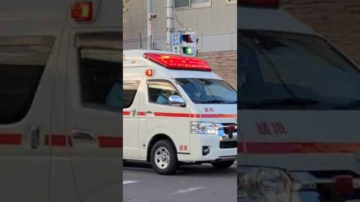 《歩行者の方止まって下さい！！》緊急走行を妨害する歩行者！緊急車両には道を譲りましょう！#京都市消防局 #緊急走行