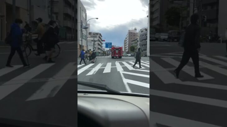 〈音量ご注意〉赤信号で進入　　　する緊急走行中の東京消防庁　ポンプ車
