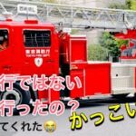 消防車　ポンプ車　緊急走行？どこへ行ったの？撮影してたら挨拶してくれる優しい隊員さん！！はしご車　かっこいい🚒#新宿 #東京消防庁 #かっこいい いつもありがとうございます🫡