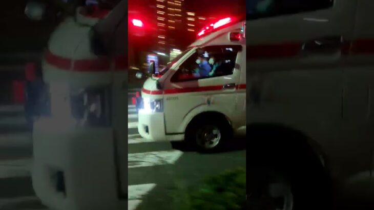 #日本 #サイレン #救急車 赤信号無視通過😁救急車の緊急走行🐱