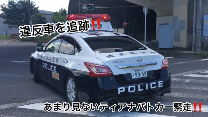 違反車を追跡‼️ 埼玉県警ティアナパトカーによる激アツ緊急走行‼️