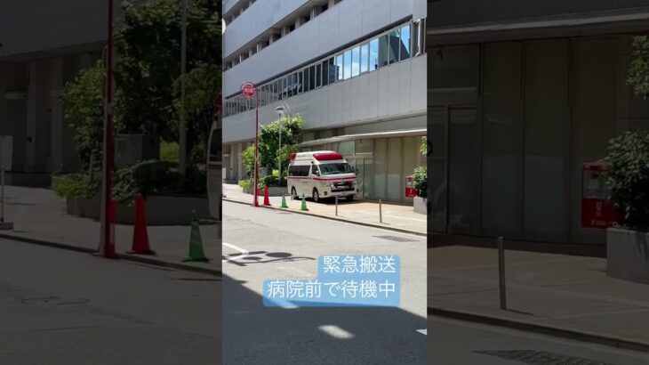 救急車　緊急搬送　病院前で待機　#新宿 #緊急走行#緊急搬送　#東京消防庁