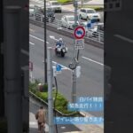 警察　白バイ　白バイ隊員　かっこいい！！#新宿#白バイ#緊急走行 #緊急出動　遠くからサイレンが聞こえてきた！！#警察
