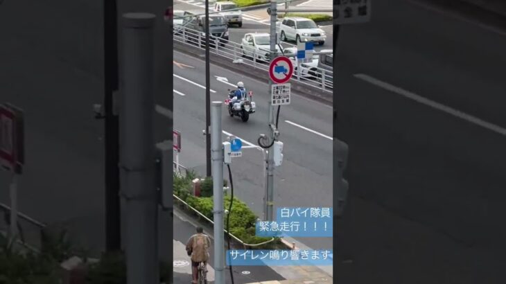 警察　白バイ　白バイ隊員　かっこいい！！#新宿#白バイ#緊急走行 #緊急出動　遠くからサイレンが聞こえてきた！！#警察