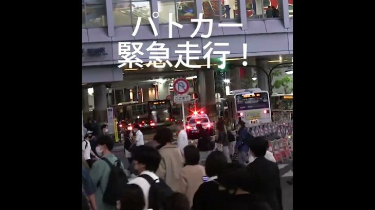 渋谷駅前をパトカー緊急走行！