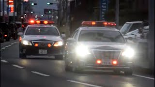 静岡県警察 パトカー 緊急走行 x2