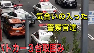 警察　警察官　パトカー３台緊急出動！！緊急走行！！00剤持ってると疑われた😱ガタイのいい警察官👮‍♀️#警察 #警察24時 #新宿 #緊急走行 #緊急出動 #職質 #パトロール