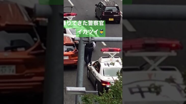 警察　警察官　パトカー３台緊急出動！！緊急走行！！00剤持ってると疑われた😱ガタイのいい警察官👮‍♀️#警察 #警察24時 #新宿 #緊急走行 #緊急出動 #職質 #パトロール #はたらくくるま