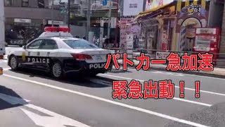 警察　警察官　パトカー　急に爆音サイレン鳴らして緊急走行！！#警察 #警察24時 #新宿 #緊急出動 #緊急走行 急加速！！