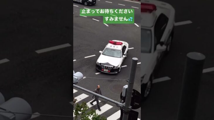 警察　警察官　パトカー３台緊急出動！！緊急走行！パトカー３台！👮‍♀️#警察 #警察24時 #新宿 #緊急走行 #緊急出動 #職質 #パトロール#職質 #取り締まり #