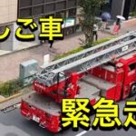 消防車　はしご車　中野L はしご車の緊急出動！！#新宿 #かっこいい #緊急走行 #東京消防庁 #レスキュー隊##緊急出動