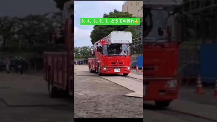 さいたま市消防局　大宮L サイレン吹鳴# #消防車 #緊急走行 #はしご車